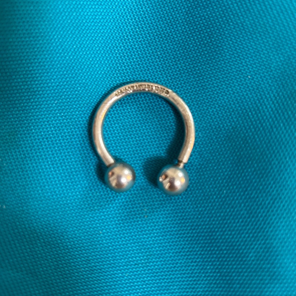 Silver Horseshoe Tiffany keychain
